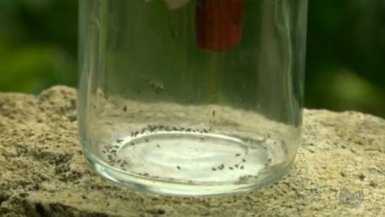 Com informações: G1 PIAUÍ Com informações: G1 PIAUÍ