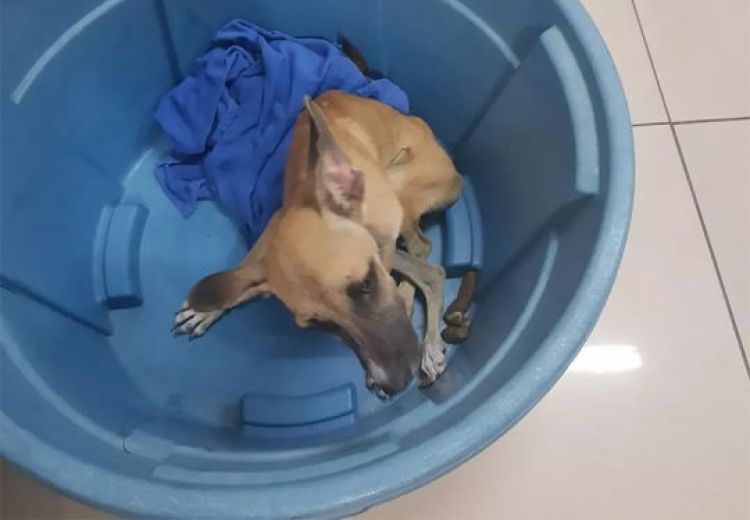 Com Informações: Cidade Verde Com Informações: Cidade Verde