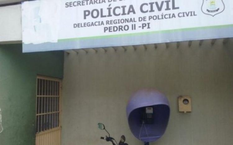 Caso está sendo investigado pela Polícia Civil de Pedro II — Foto: Divulgação/Polícia Civil Caso está sendo investigado pela Polícia Civil de Pedro II — Foto: Divulgação/Polícia Civil