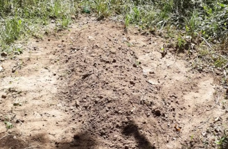 Suposta cova com corpo de homem encontrada em fazenda na zona rural de Campo Maior, no Piauí — Foto: Reprodução