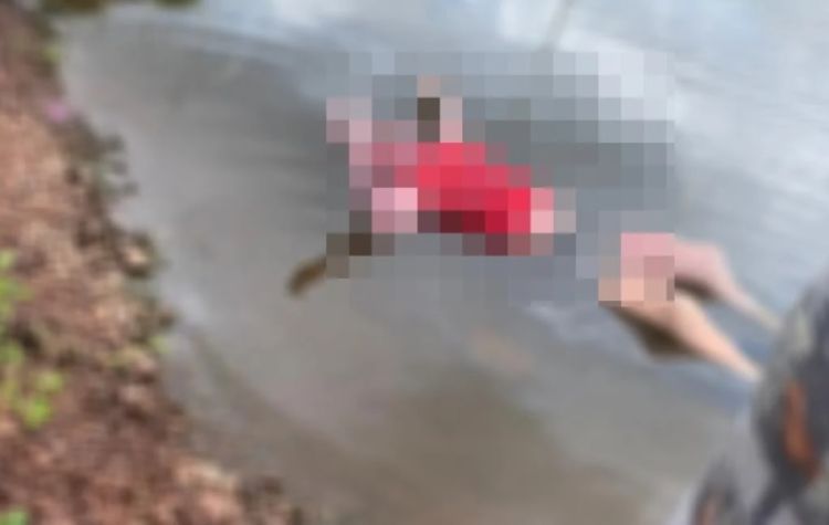 Corpo de mulher é encontrado em açude na cidade de Alagoinha do Piauí - Imagem: Reprodução/Cidades na Net Corpo de mulher é encontrado em açude na cidade de Alagoinha do Piauí - Imagem: Reprodução/Cidades na Net