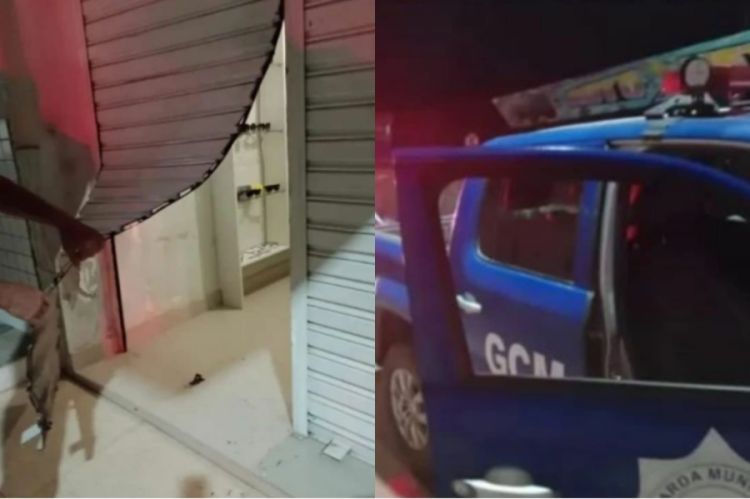 Foto: Guarda Municipal Foto: Guarda Municipal