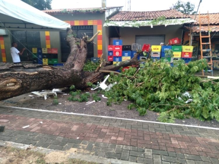 FOTOS: REDES SOCIAIS  FOTOS: REDES SOCIAIS