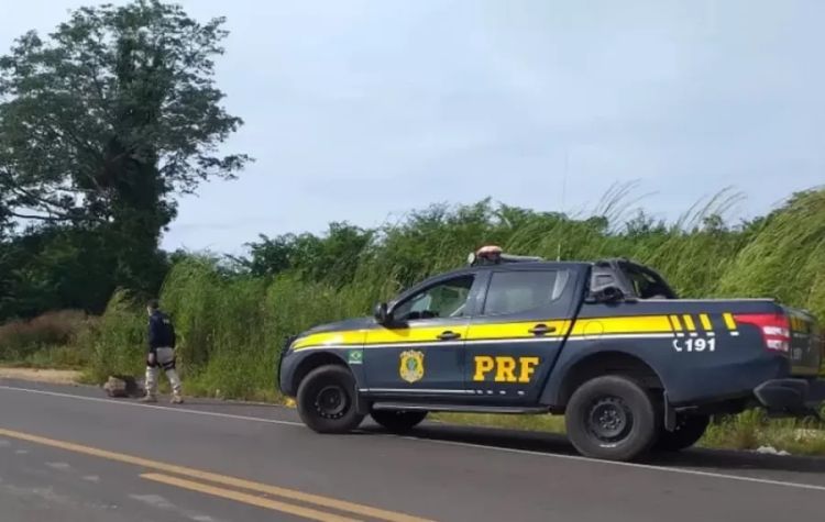 Divulgação / SSP Divulgação / SSP