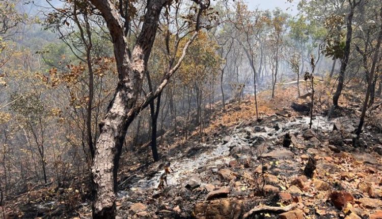 Foto: Mazinho Almeida Foto: Mazinho Almeida