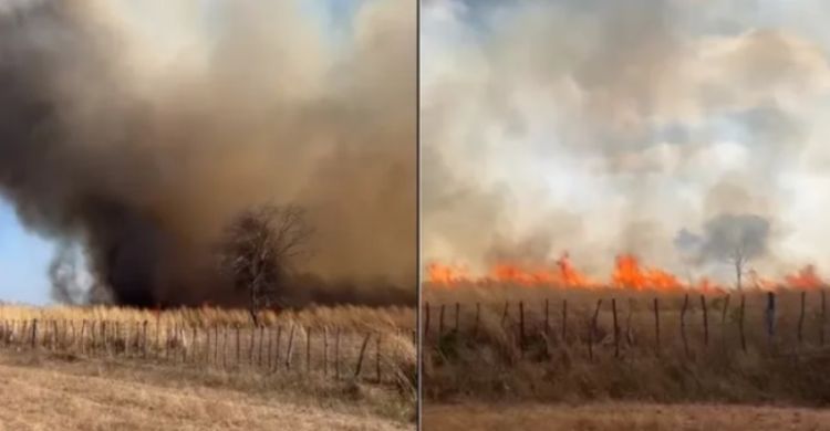 Fotos: Reprodução Fotos: Reprodução