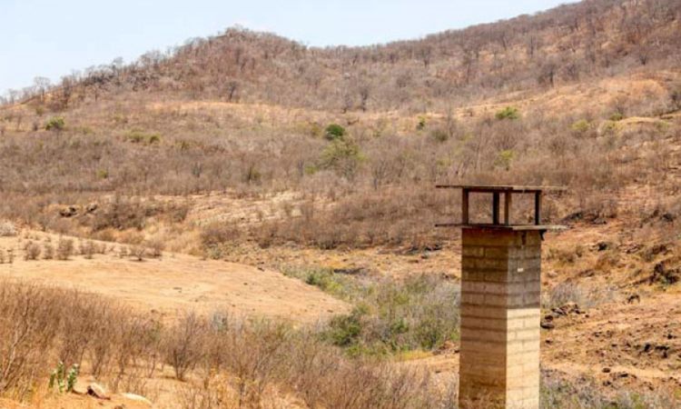 Foto: Tiago Amaral Foto: Tiago Amaral