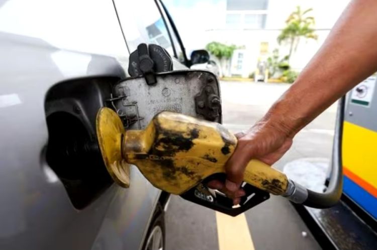 Foto: Flávio Tavares/ O Tempo Foto: Flávio Tavares/ O Tempo