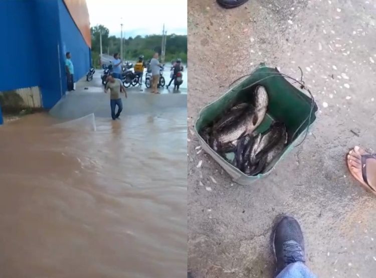 Foto: Reprodução  Foto: Reprodução