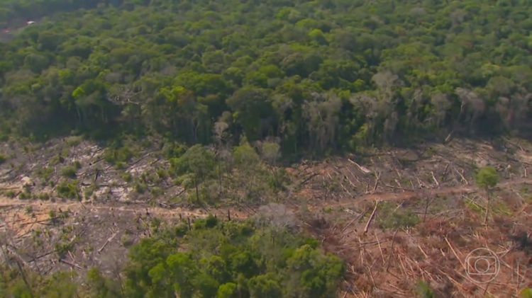 Alertas de desmatamento batem recorde no Cerrado — Foto: Jornal Nacional/ Reprodução