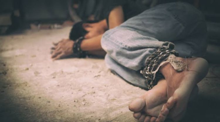 Imagem ilustrativa  Imagem ilustrativa