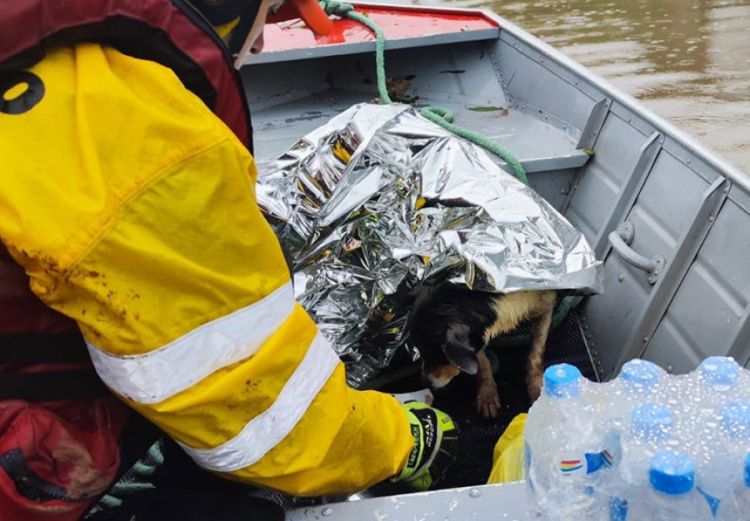 Foto: Ascom-SSP-PI Foto: Ascom-SSP-PI