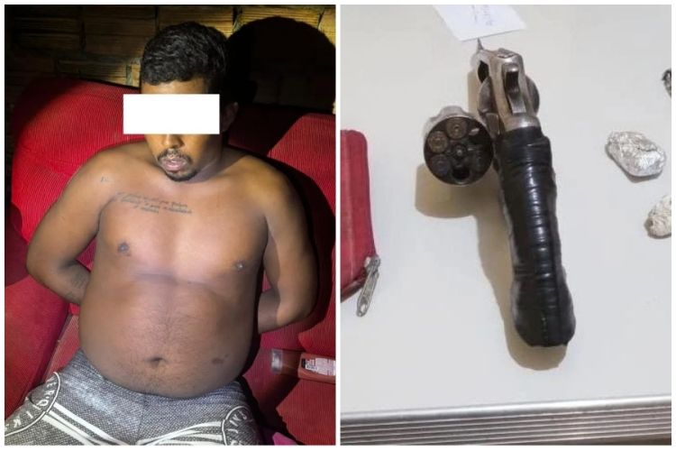 Foto: reproduções  Foto: reproduções