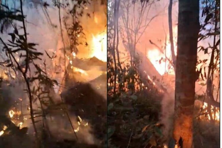 Foto: Reproduções  Foto: Reproduções