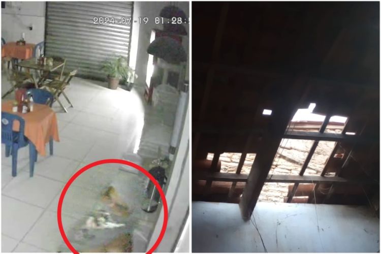 Foto: Homem arromba cafeteira em Campo Maior Foto: Homem arromba cafeteira em Campo Maior