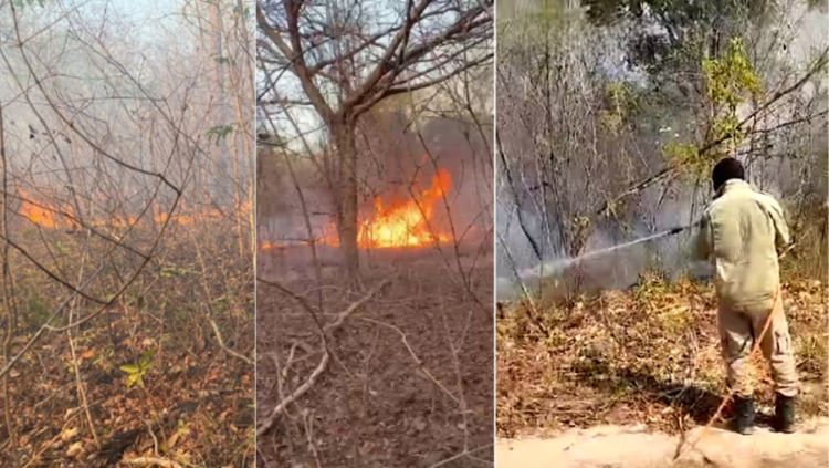 Foto: Reprodução  Foto: Reprodução