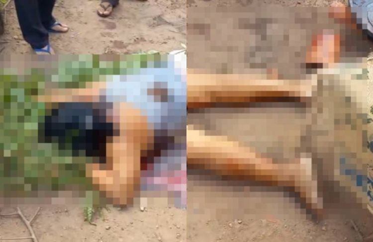 FOTO: Reprodução FOTO: Reprodução