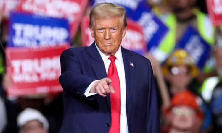 Foto: Reproduções  Foto: Reproduções