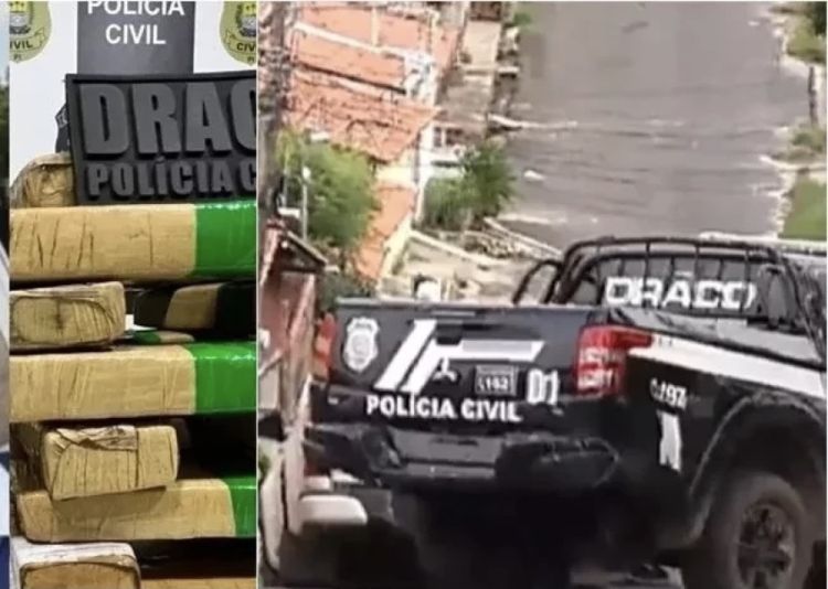 Foto: Reprodução/ Meio News Foto: Reprodução/ Meio News