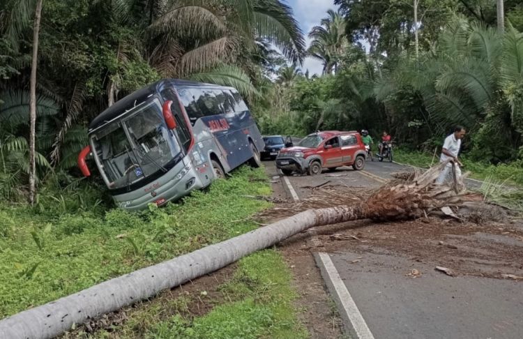 Foto: Reproduções  Foto: Reproduções