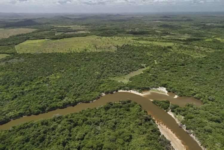 Imagem aérea registra desmatamento perto do Rio Turiaçu, em Pedro do Rosário (MA), na floresta amazônica, em agosto de 2024. Foto: Rubens Chaves/Folhapress Imagem aérea registra desmatamento perto do Rio Turiaçu, em Pedro do Rosário (MA), na floresta amazônica, em agosto de 2024. Foto: Rubens Chaves/Folhapress