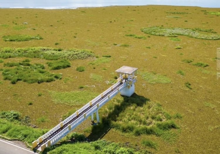 Foto: R10Piauí Foto: R10Piauí