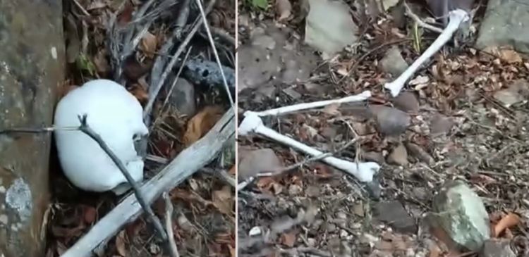 Foto: Reproduções  Foto: Reproduções