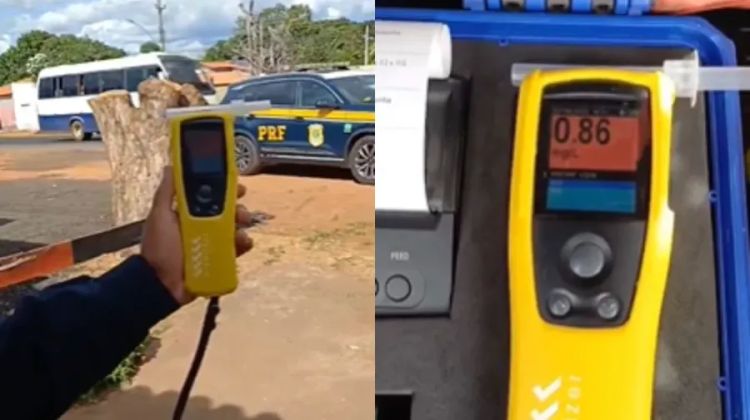 Foto: Divulgação  Foto: Divulgação