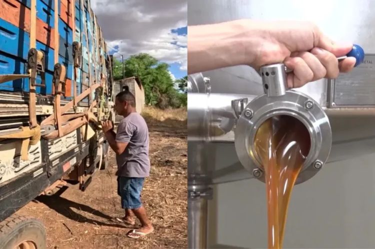 Foto: Sávio Magalhães/TV Clube Foto: Sávio Magalhães/TV Clube