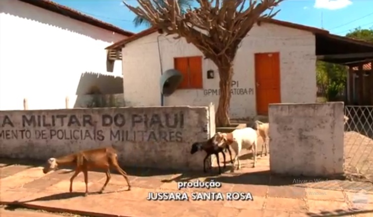 Delegacia fechada e prédio servindo de abrigo de animas. Situação mostrada pela TV em Jatobá do Piauí
